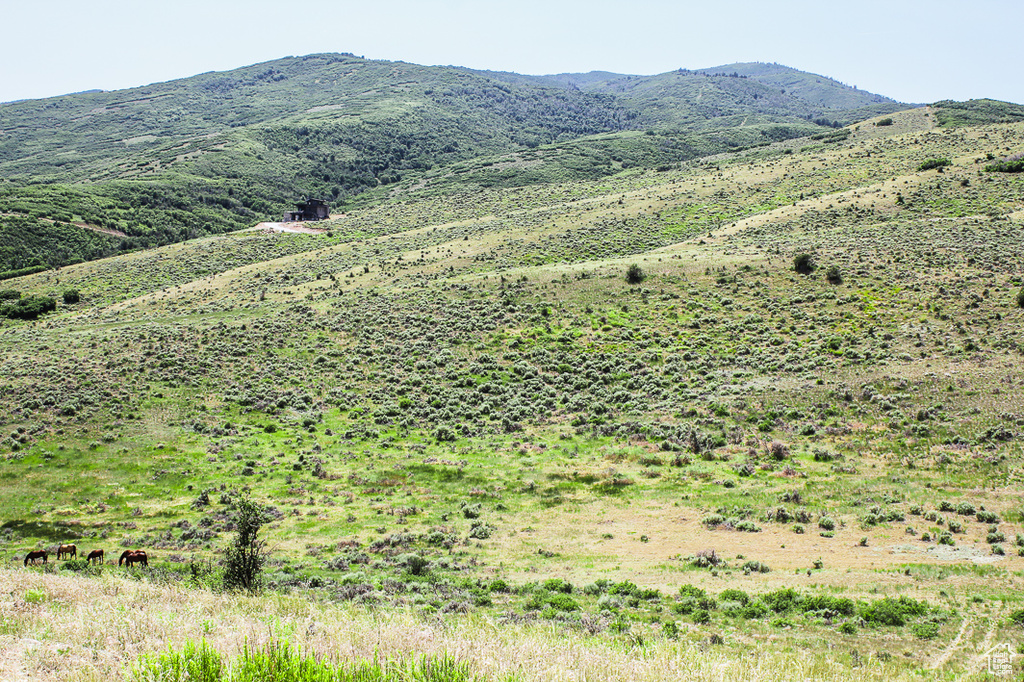 1255 S WEST HOYTSVILLE RD Hoytsville, UT 84017