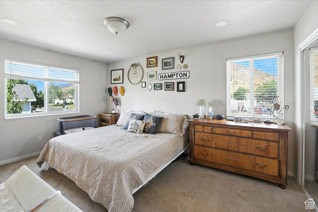 1197 TULE DR Hyrum, UT 84319