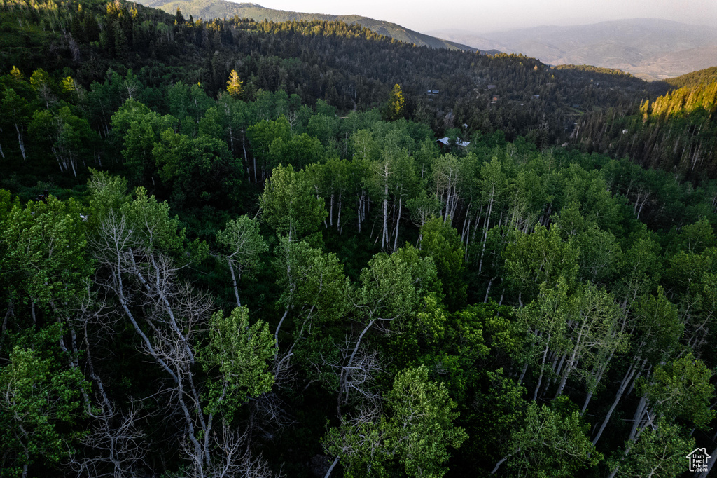 2132 S ASPEN RIDGE DR Wanship, UT 84017
