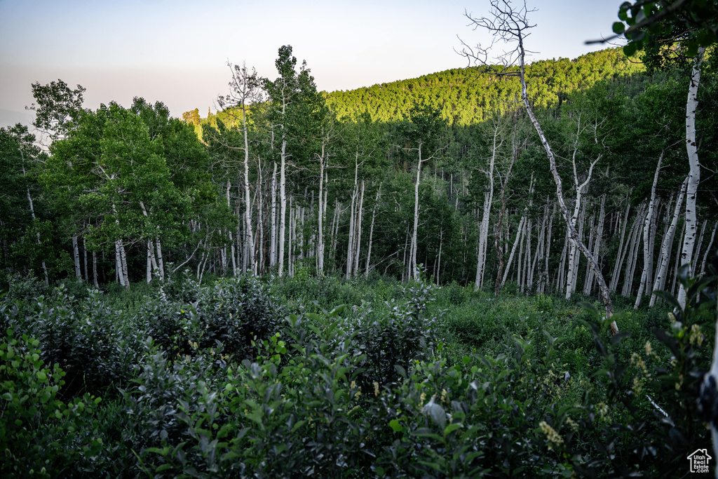 2132 S ASPEN RIDGE DR Wanship, UT 84017