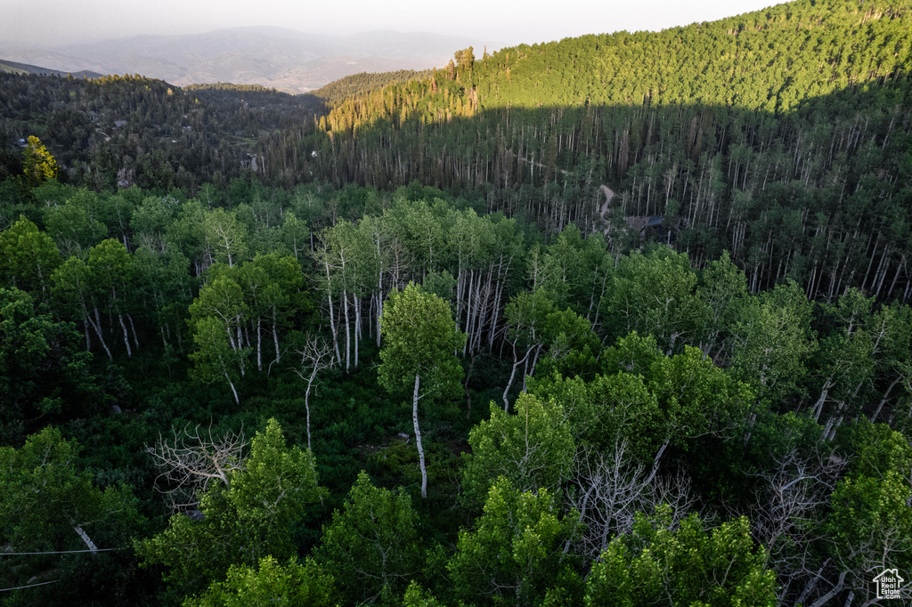 2132 S ASPEN RIDGE DR Wanship, UT 84017