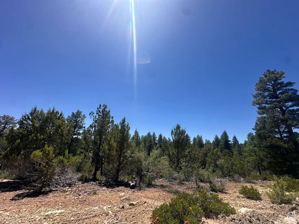 11  PINE ST Orderville, UT 84758