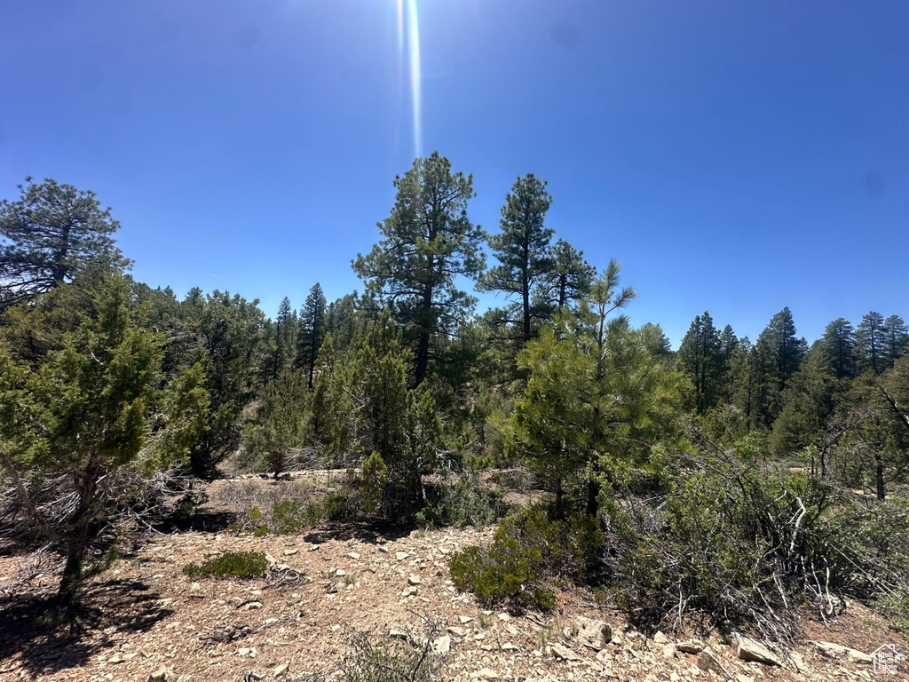11  PINE ST Orderville, UT 84758