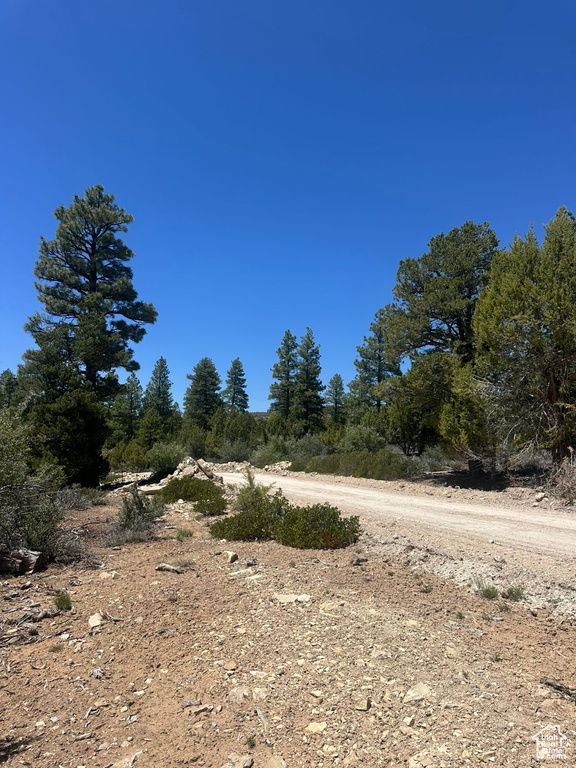 11  PINE ST Orderville, UT 84758