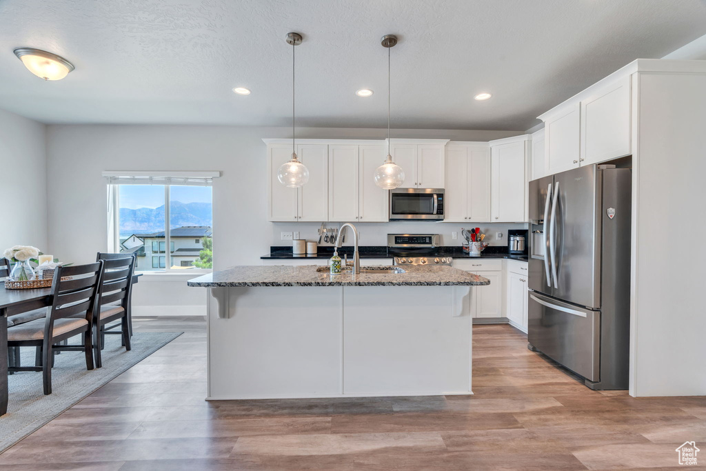 492 W DEER MEADOWS DR DR Saratoga Springs, UT 84045