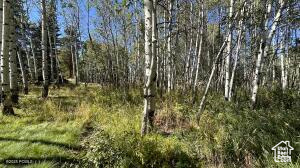 6190  DIAMOND DELL CIR Kamas, UT 84036