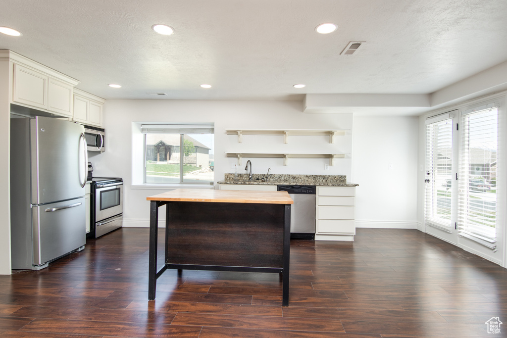 1232 S REGAL VIEW DR Saratoga Springs, UT 84045