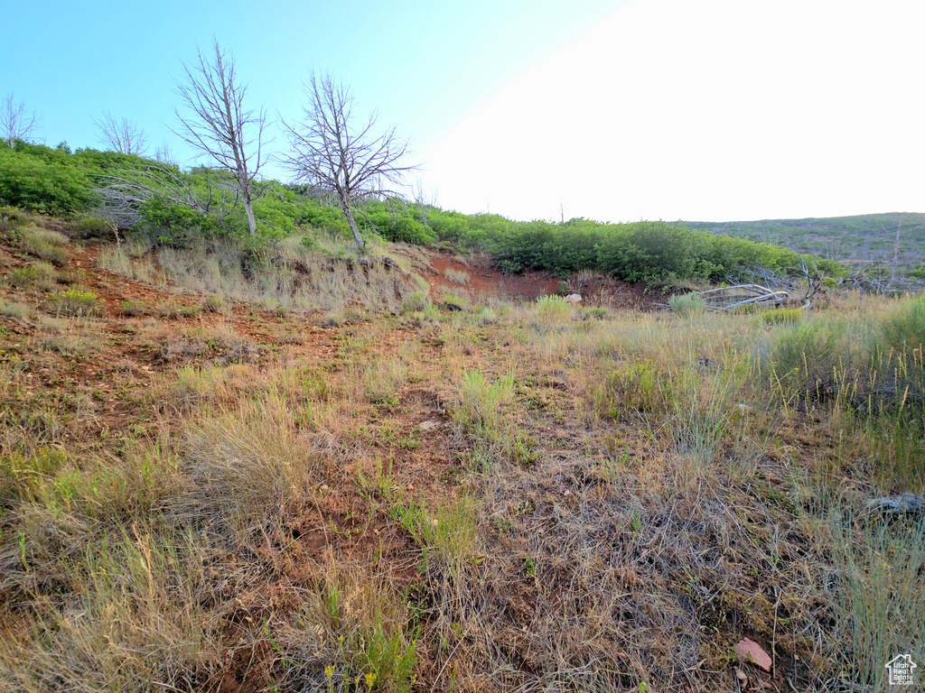  Indianola, UT 84629