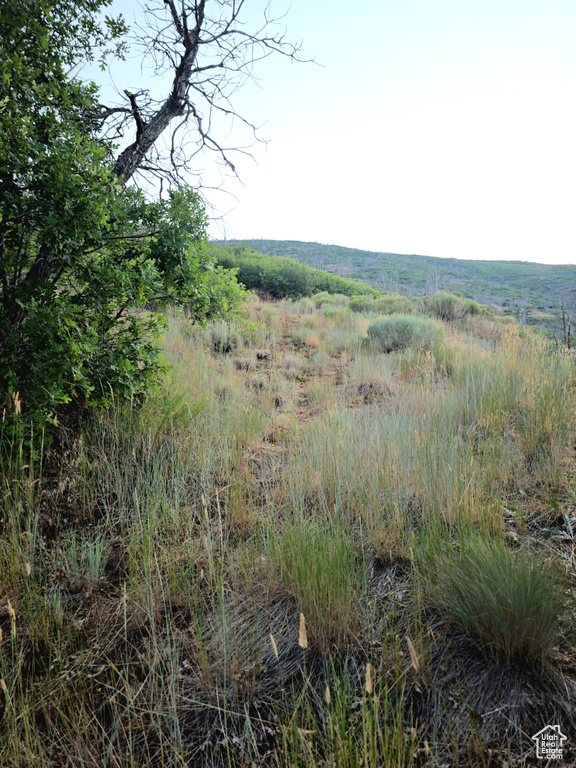  Indianola, UT 84629