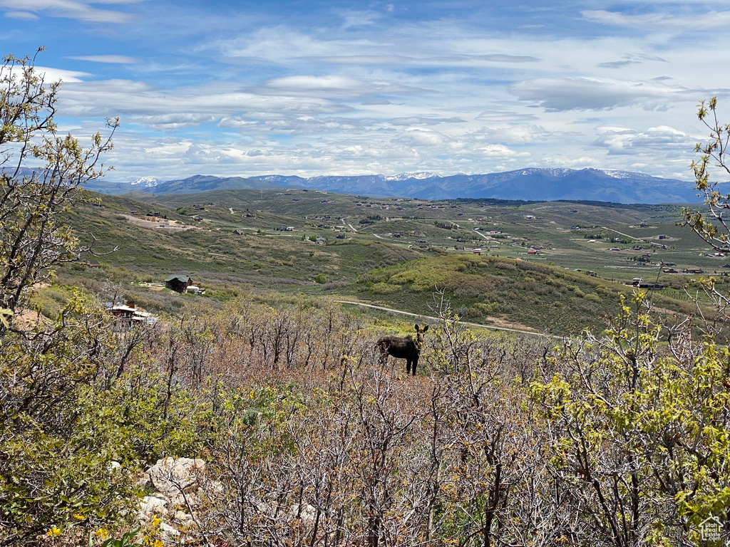 9581 N KIMBALL-CANYON RD Park City, UT 84098