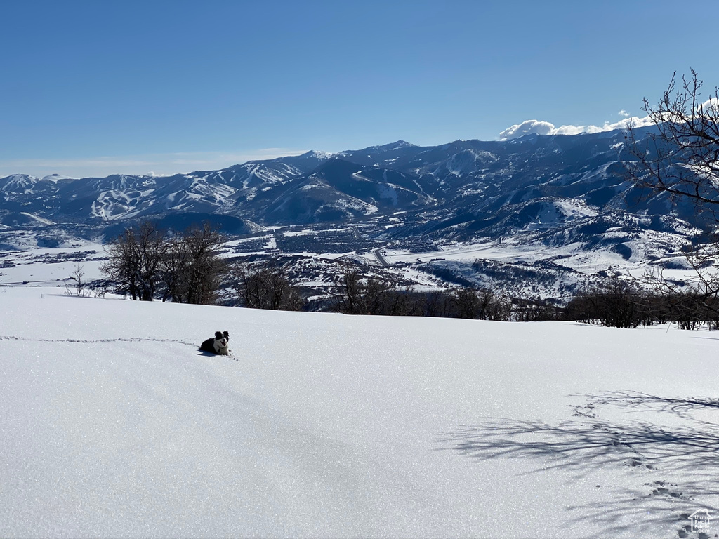 9581 N KIMBALL-CANYON RD Park City, UT 84098