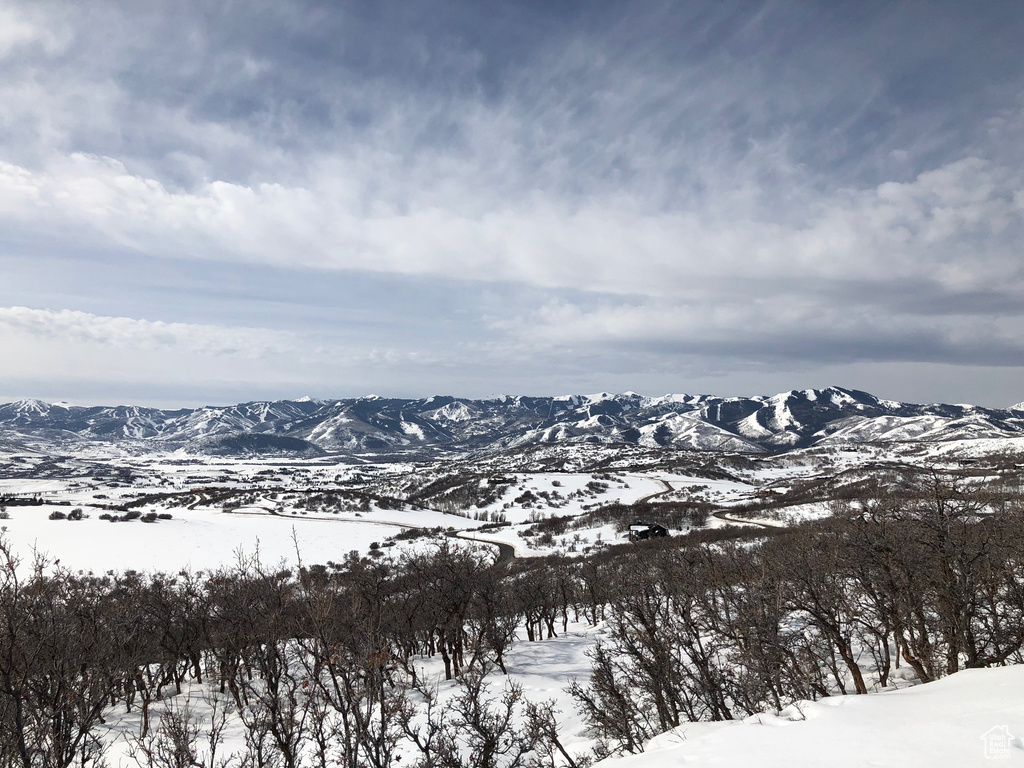 9581 N KIMBALL-CANYON RD Park City, UT 84098