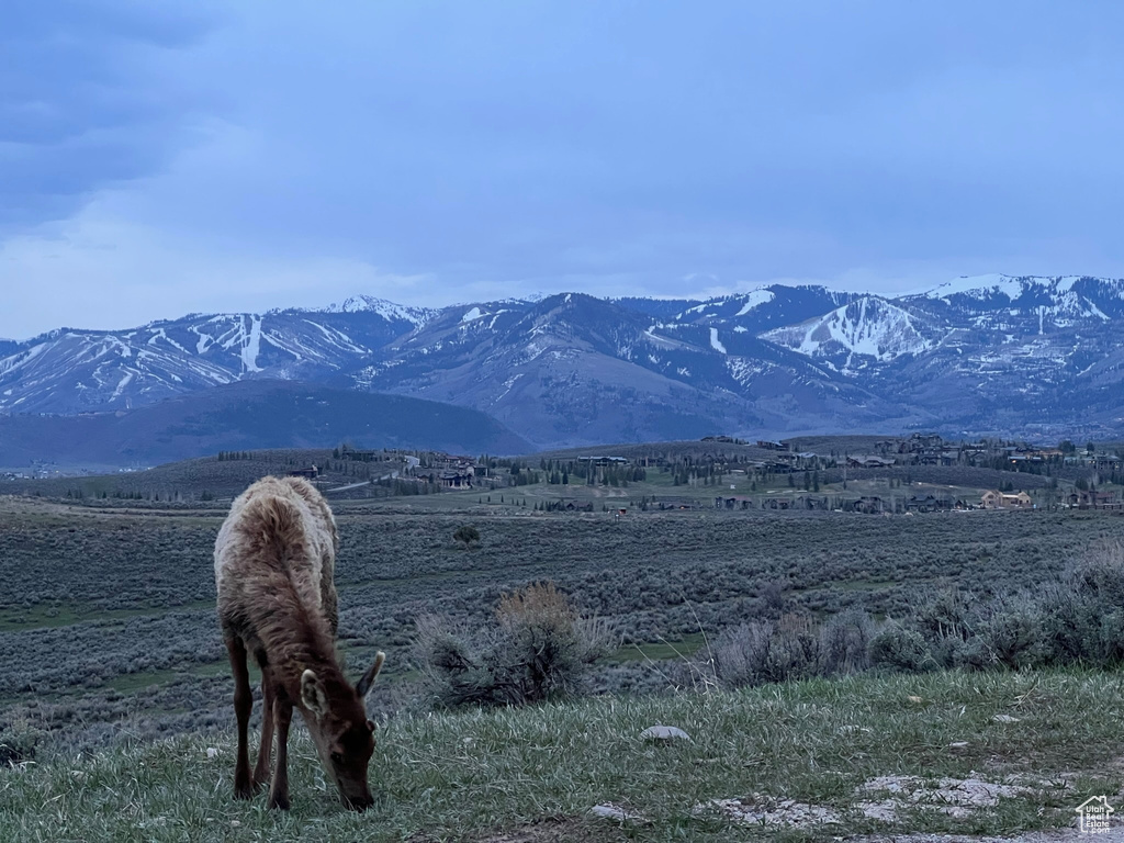 9581 N KIMBALL-CANYON RD Park City, UT 84098