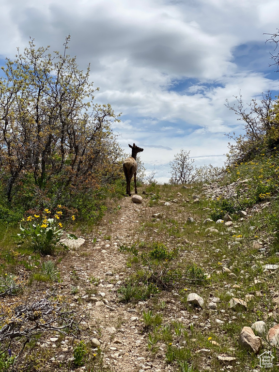 9581 N KIMBALL-CANYON RD Park City, UT 84098