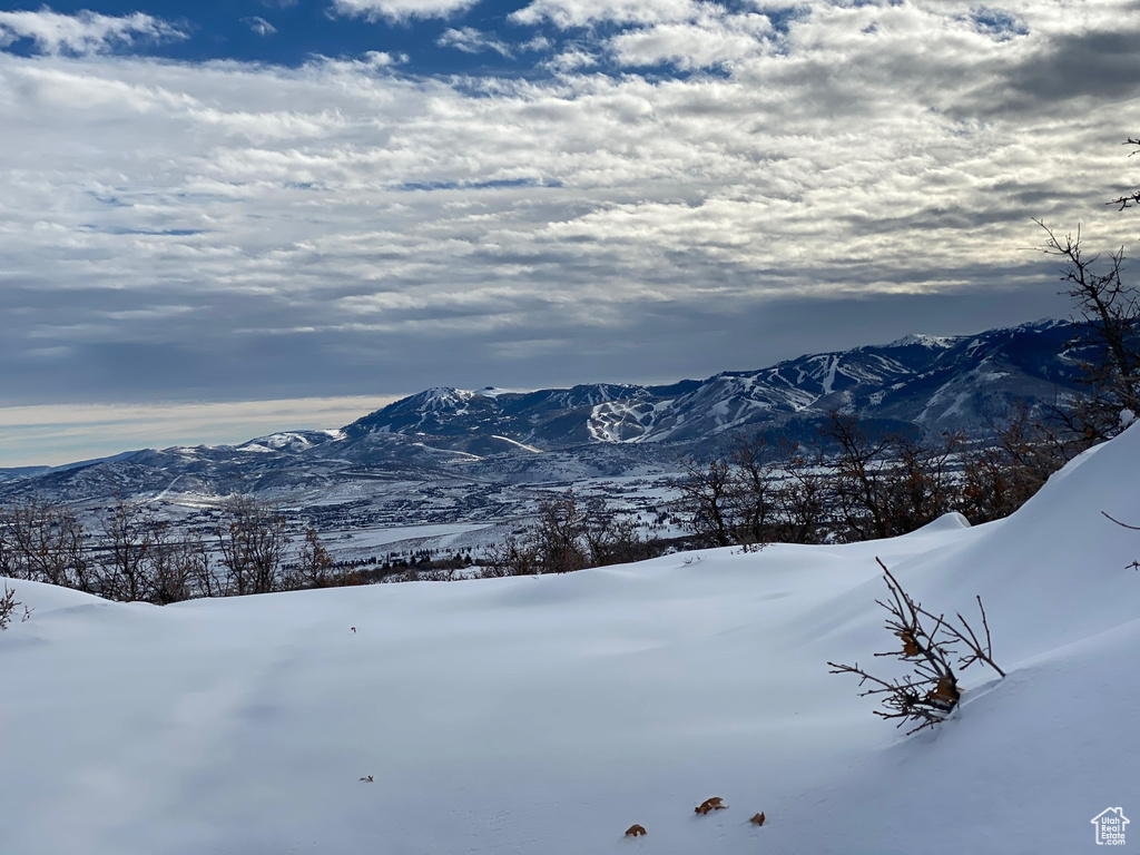 9581 N KIMBALL-CANYON RD Park City, UT 84098