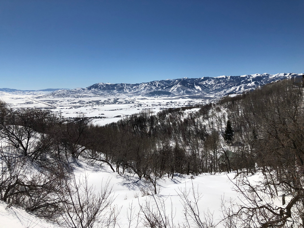 9581 N KIMBALL-CANYON RD Park City, UT 84098