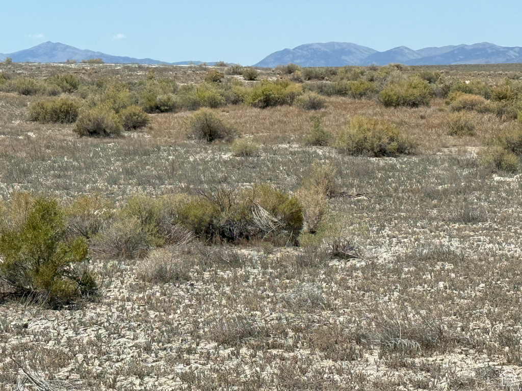 82020 S 8000 W Grouse Creek, UT 84313