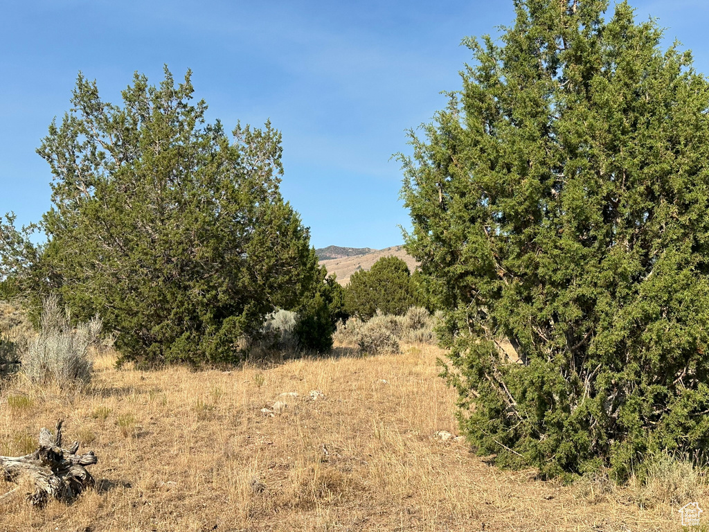  Holden, UT 84636