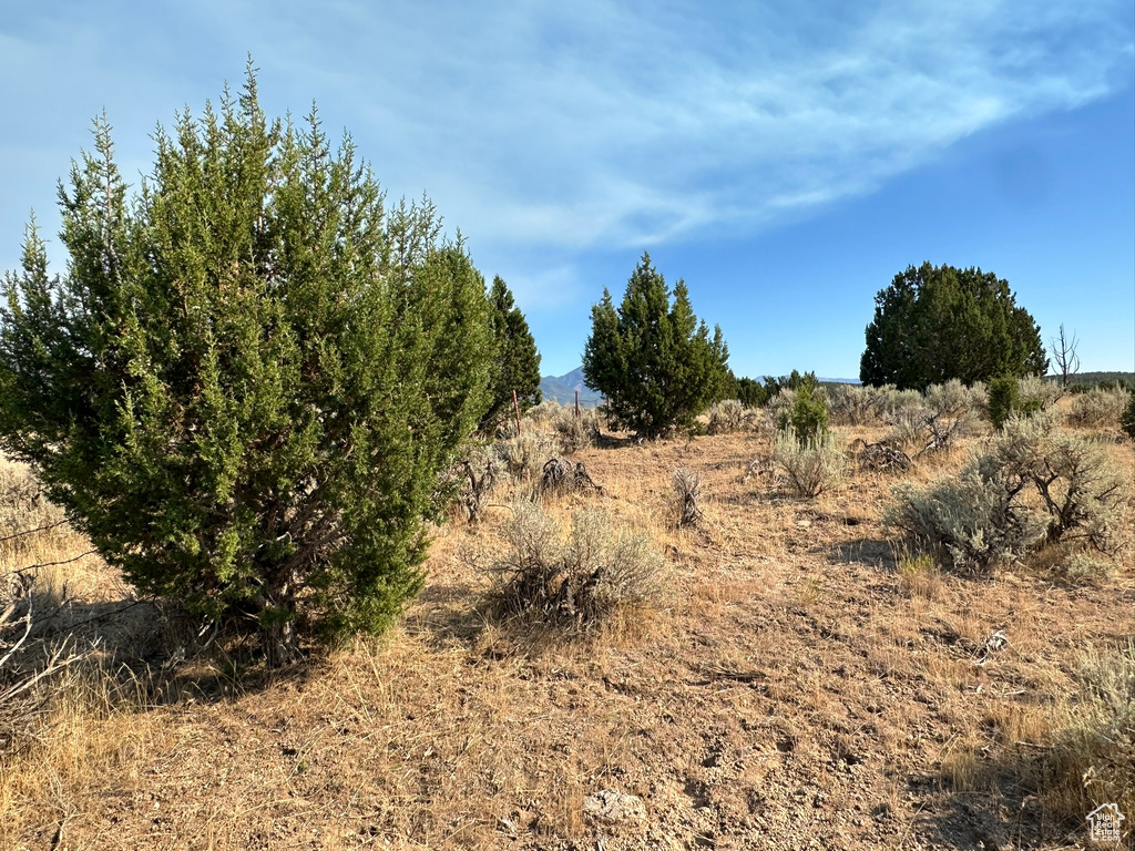  Holden, UT 84636