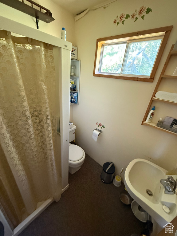 531 W KOKOPELLI LOOP Brian Head, UT 84719