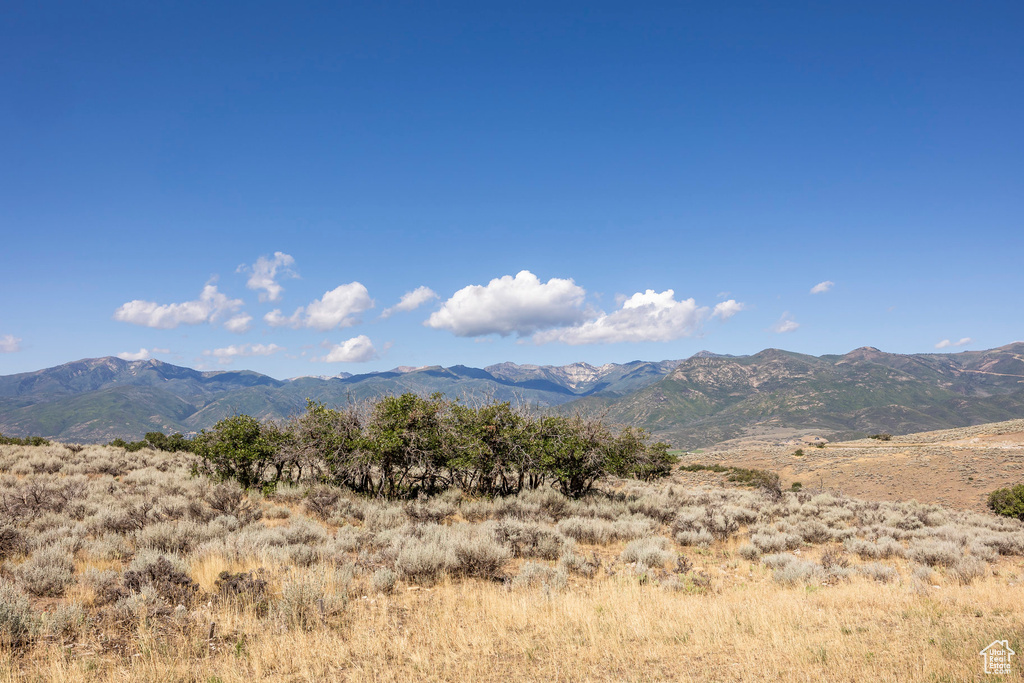 2005 N LOOKOUT PEAK CIR Heber City, UT 84032