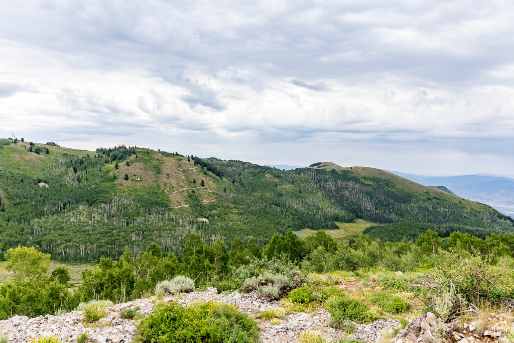  Midway, UT 84049