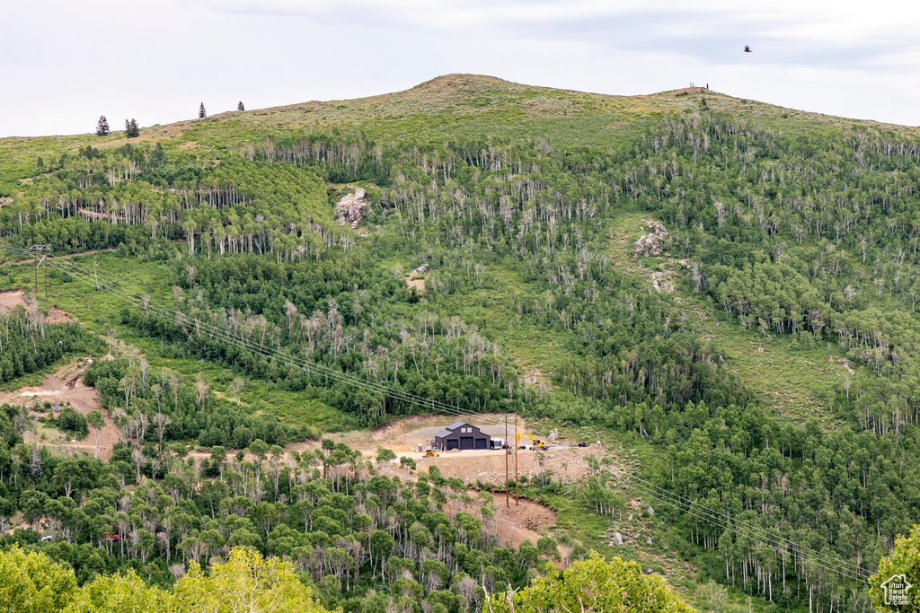  Midway, UT 84049