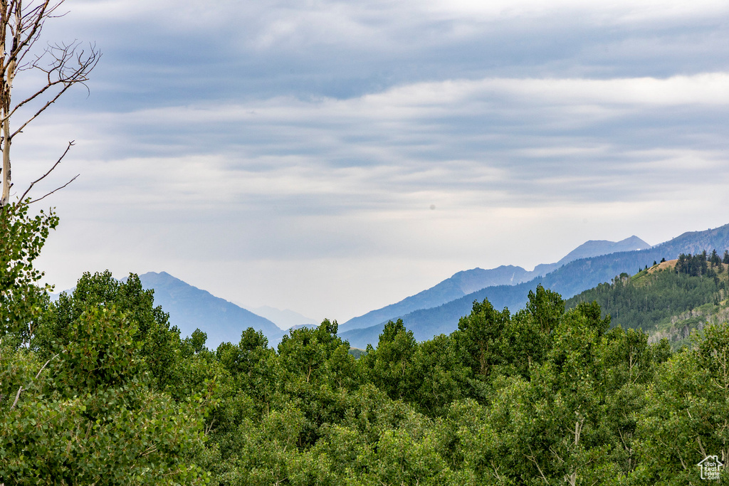  Midway, UT 84049