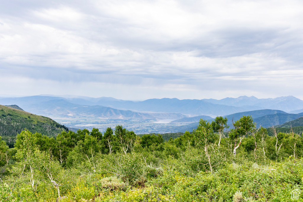  Midway, UT 84049