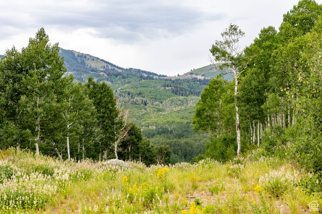  Midway, UT 84049