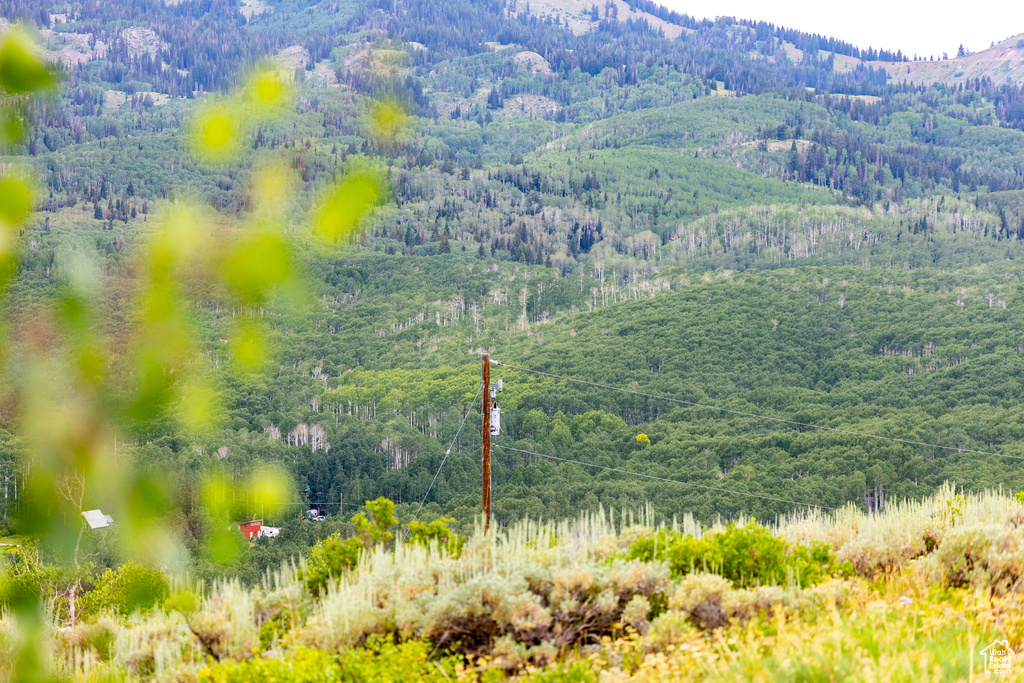  Midway, UT 84049