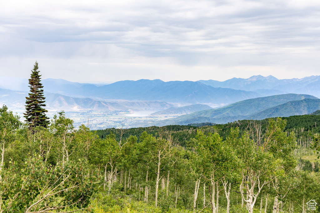  Midway, UT 84049