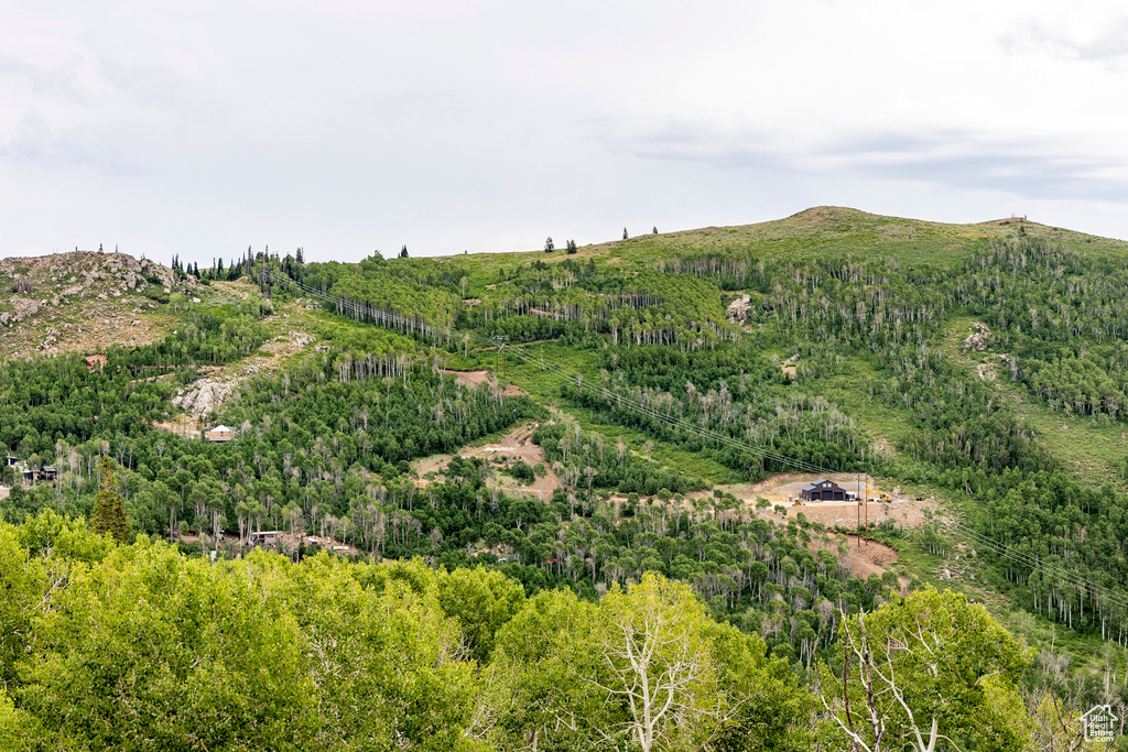  Midway, UT 84049