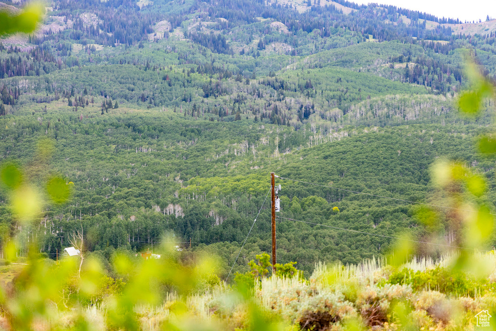  Midway, UT 84049