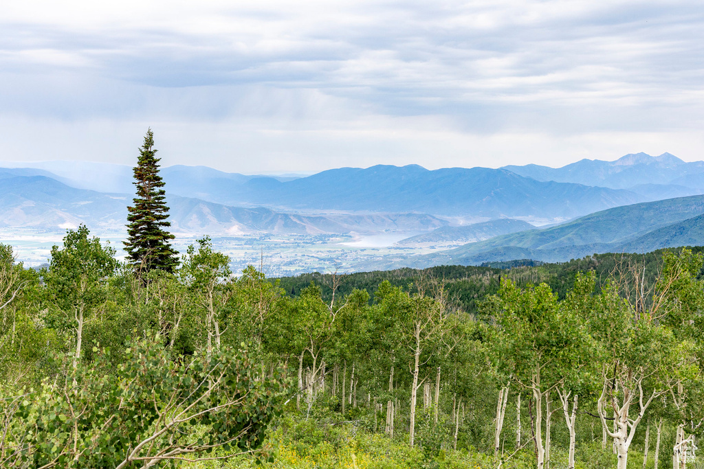  Midway, UT 84049