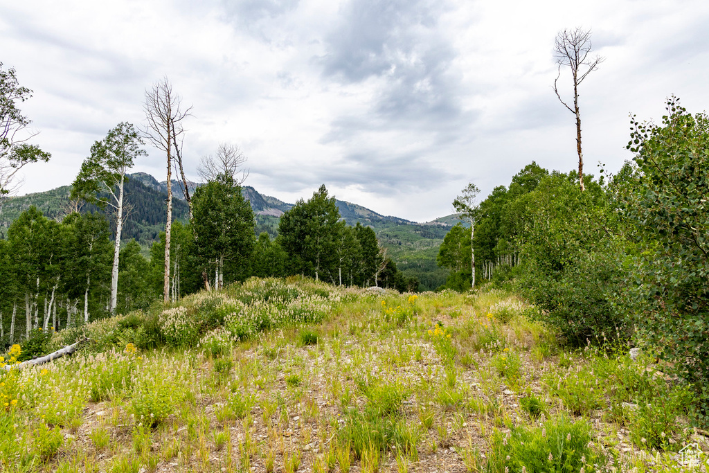  Midway, UT 84049