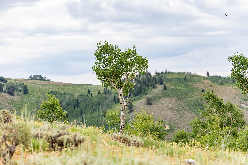  Midway, UT 84049
