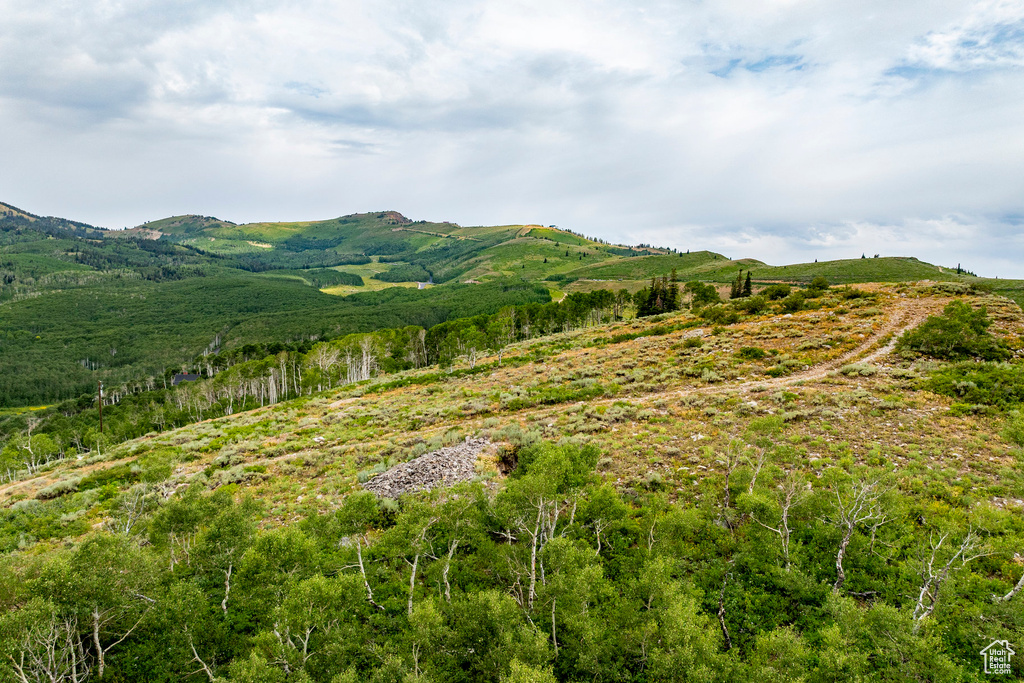  Midway, UT 84049