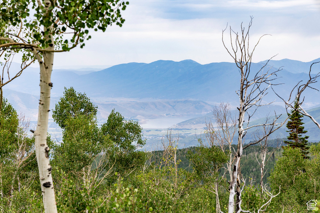  Midway, UT 84049
