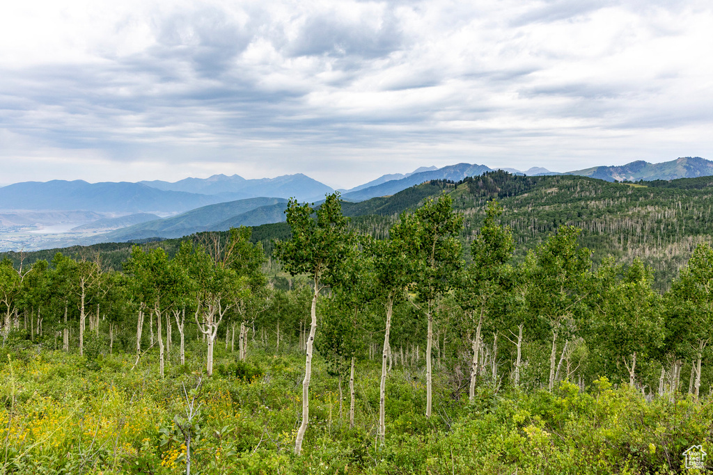  Midway, UT 84049