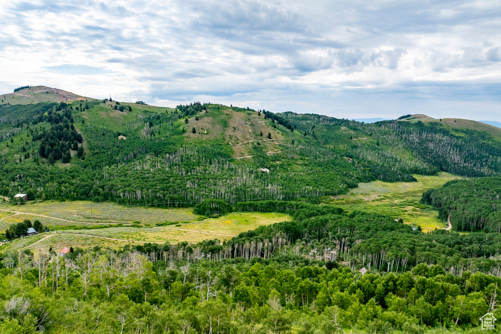  Midway, UT 84049