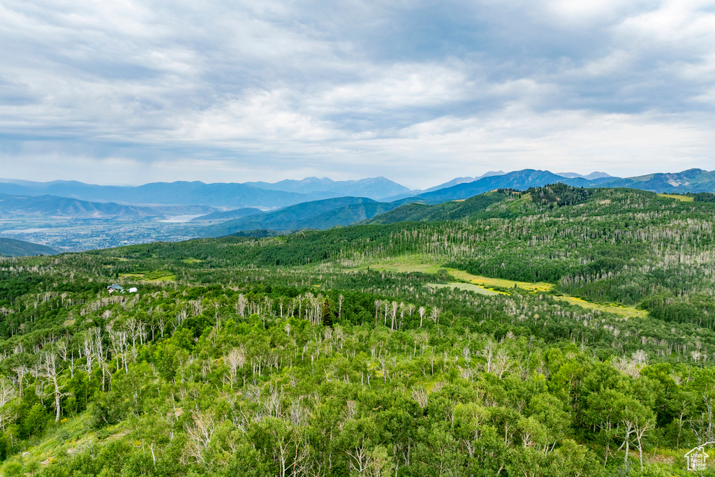  Midway, UT 84049