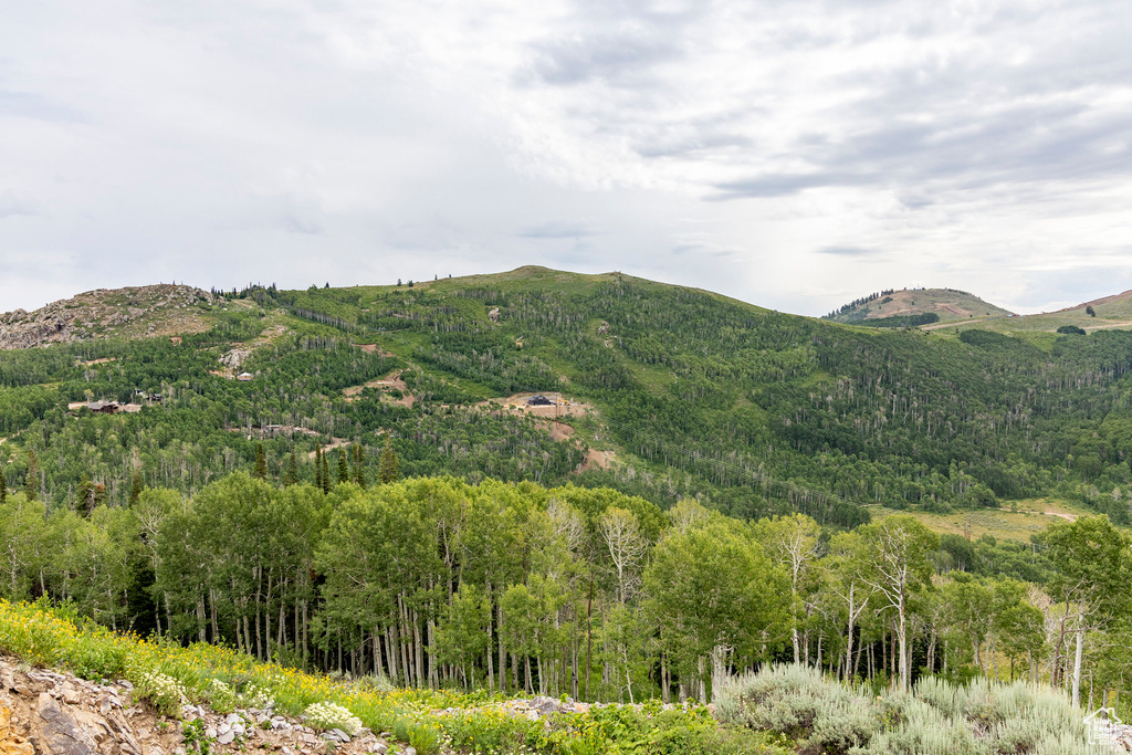  Midway, UT 84049