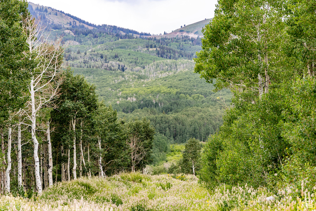  Midway, UT 84049