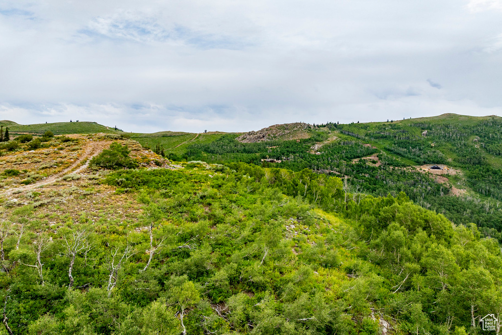  Midway, UT 84049