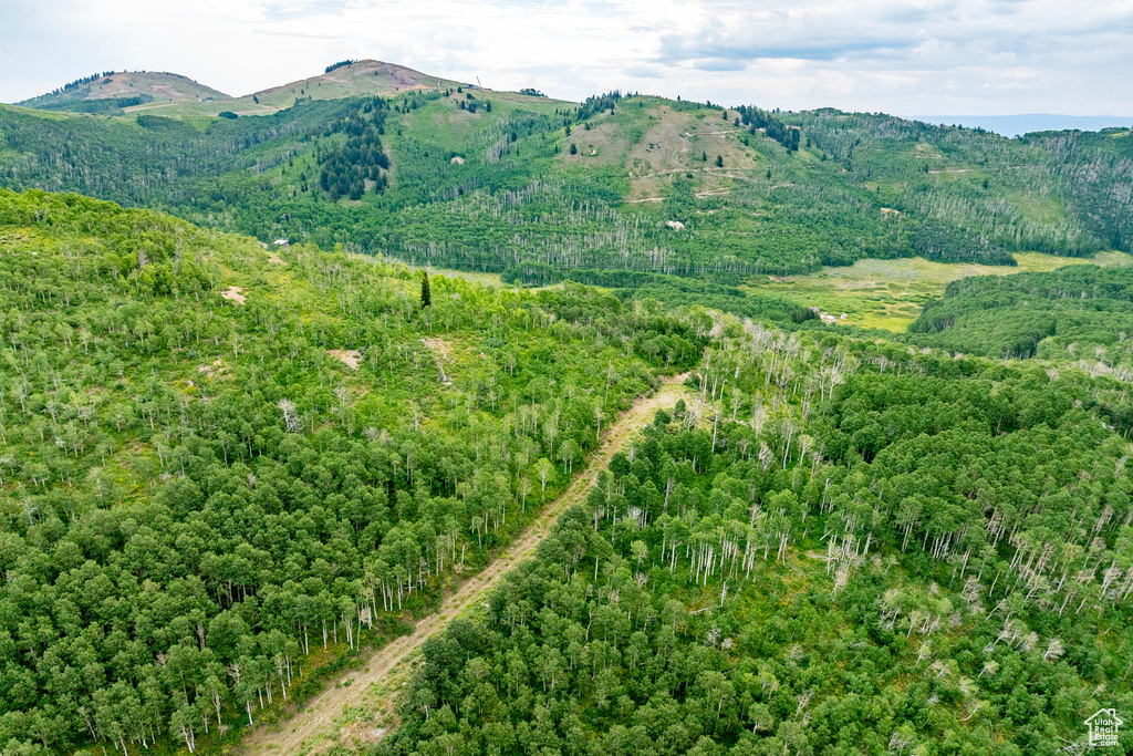  Midway, UT 84049