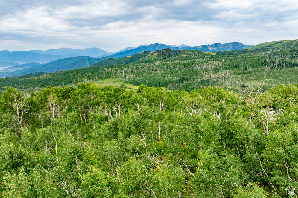  Midway, UT 84049