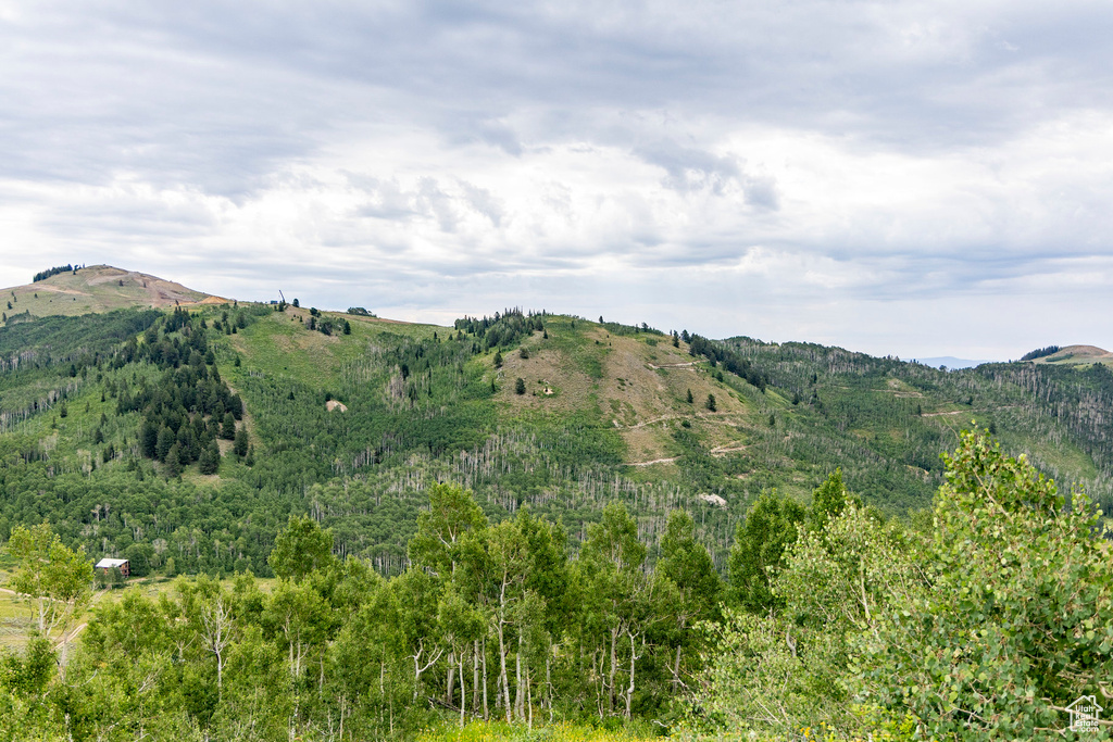  Midway, UT 84049