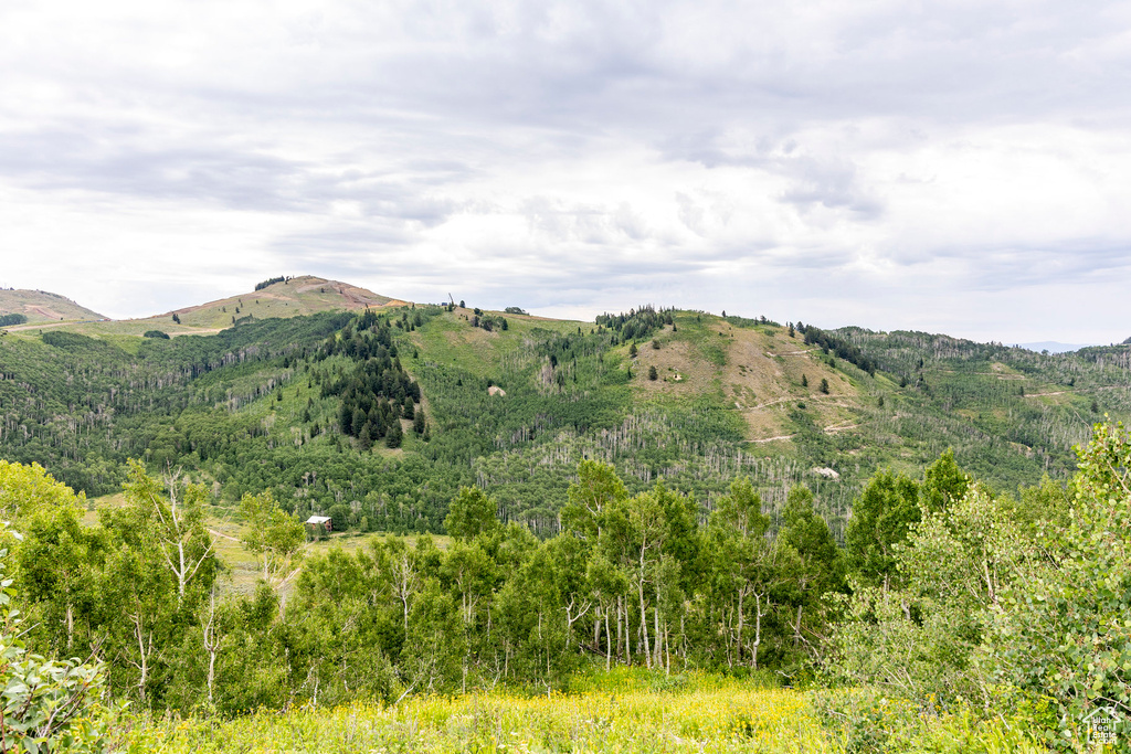  Midway, UT 84049