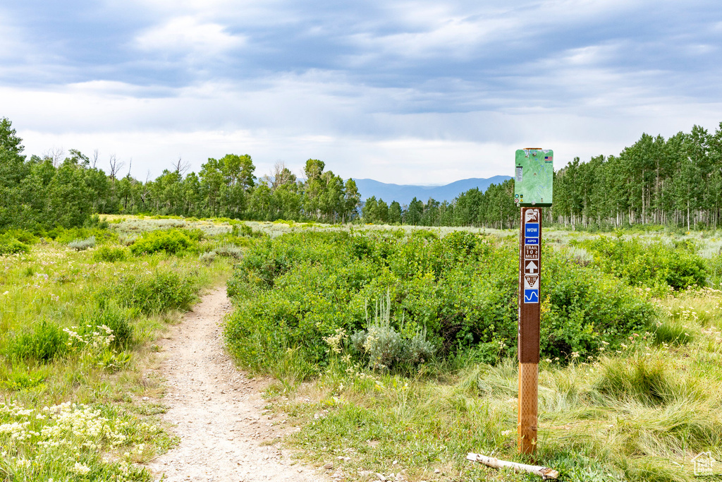  Midway, UT 84049
